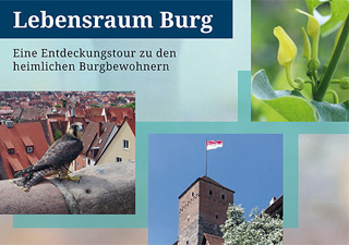 externer Link zur Website "Lebensraum Burg"