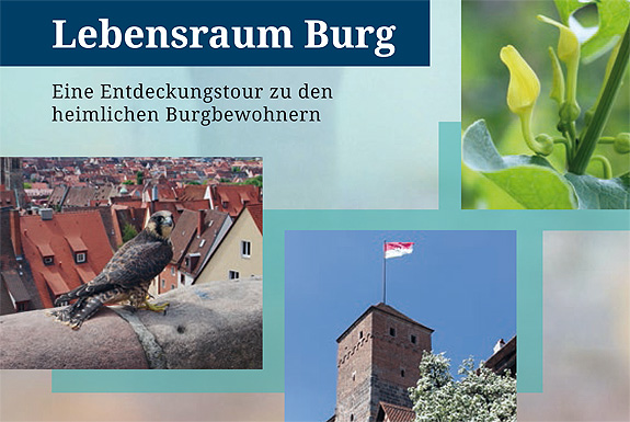 externer Link zur Website "Lebensraum Burg"