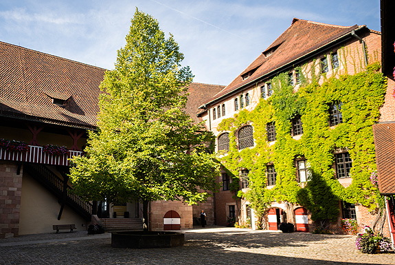 Picture: Kunigunden lime tree in the inner courtyard