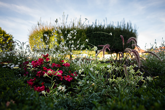 Picture: Castle Gardens